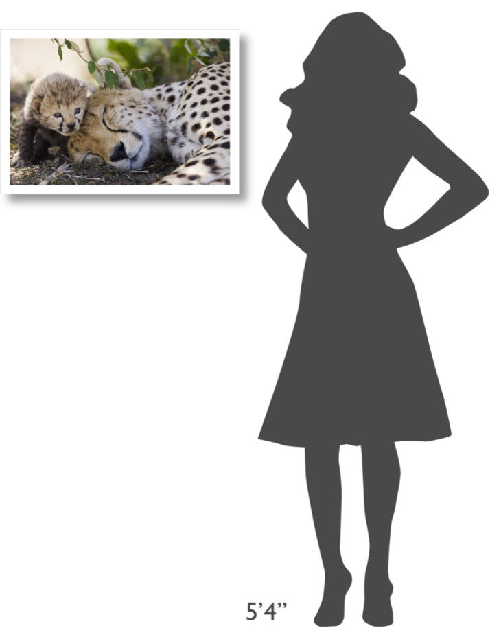 "Cheetah mother and seven day old cub, Maasai Mara Reserve" Paper Art, 26"x18"