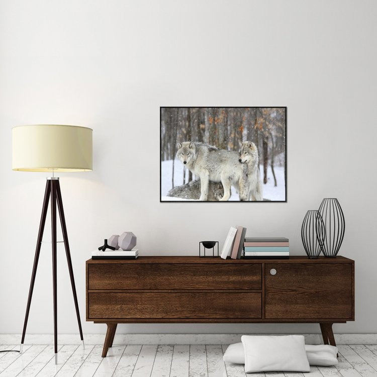 "Grey wolves huddle together during a snowstorm, Quebec"  by Anonymous, 41x31"