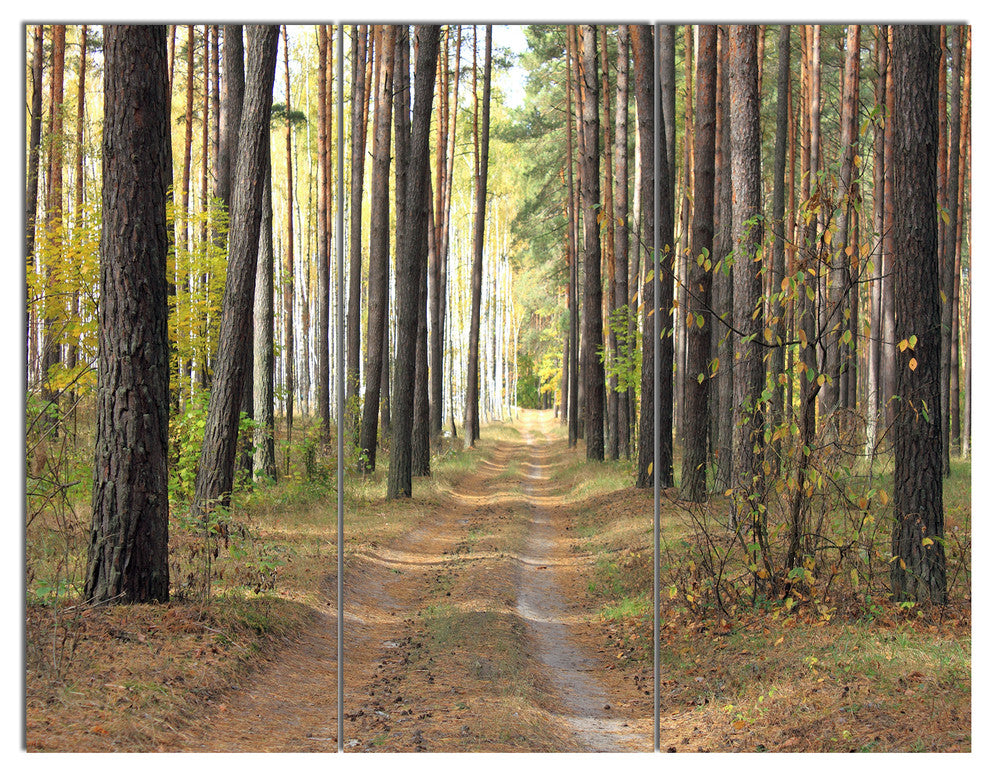Pathway in Autumn Pine Forest, Modern Forest Canvas Art, 36x28, 3 Panels