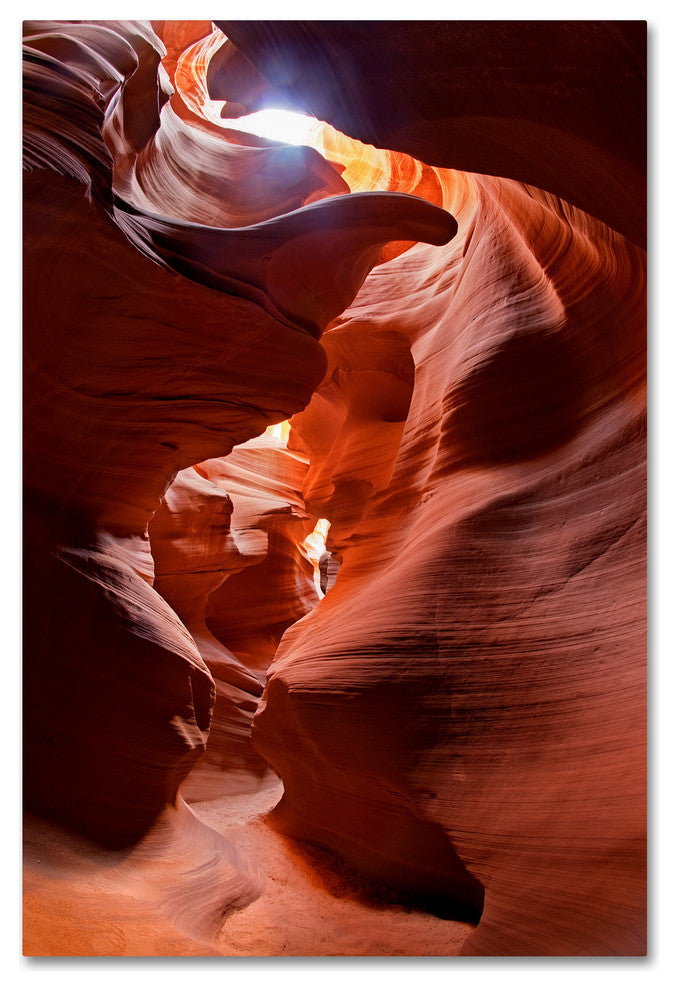 Mike Jones Photo ''Secret Canyon Fisheye'' Canvas Art, 30x47