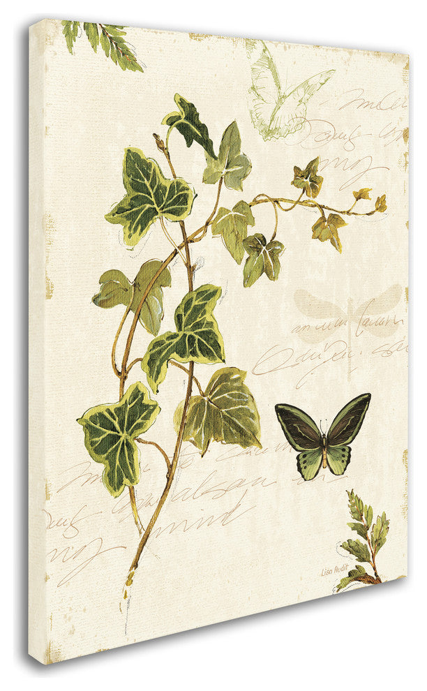 ''Ivies and Ferns IV'' Canvas Art by Lisa Audit