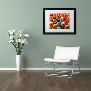 Jason Shaffer 'Pencils' Matted Framed Art, Black Frame, White Mat, 20x16