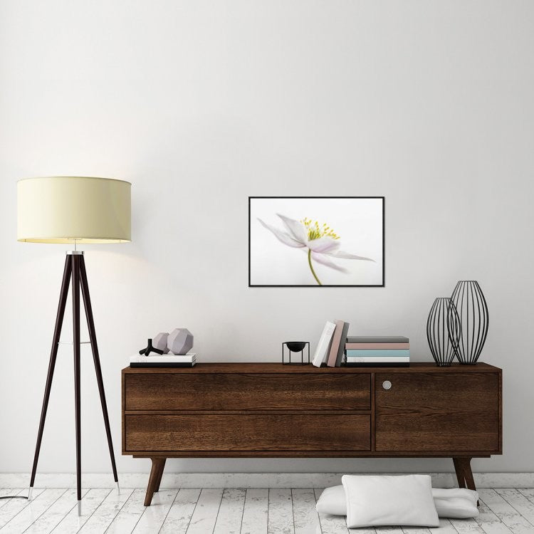 "Nemorosa" Framed Canvas Giclee by Mandy Disher, 31x21"
