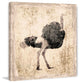 "The Ostrich" Painting Print on Canvas by Irena Orlov