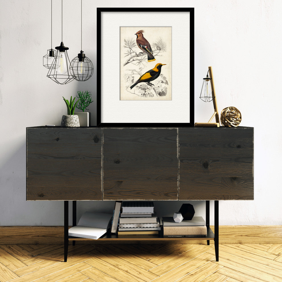 "D'Orbigny Birds V" Gallery Collection Framed Art, 16"x20"