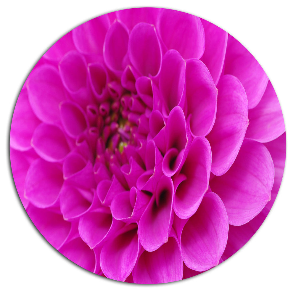 Purple Flower With Close-Up Petals, Floral Disc Metal Wall Art, 11"