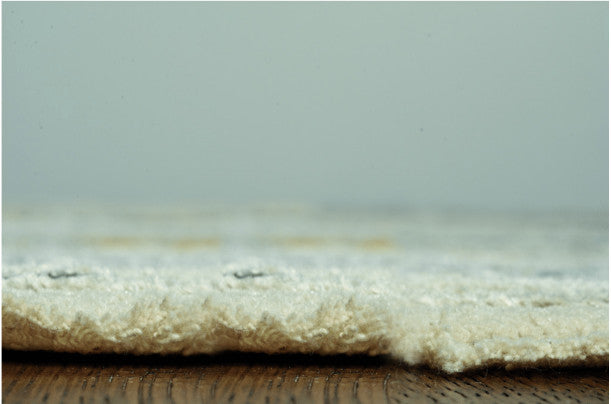 8"x11" Blue White Distressed Traditional Area Rug