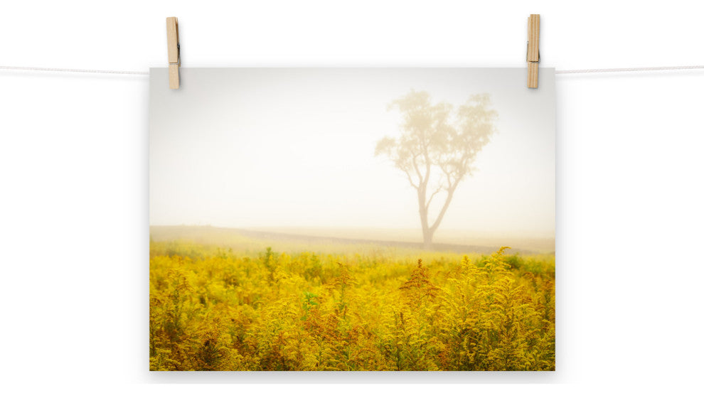Dreams of Goldenrod and Fog Landscape Photo Unframed Wall Art Print, 12" X 16"