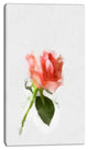 Pink Rose Watercolor with Stem, Large Floral Canvas Artwork, 16"x32"