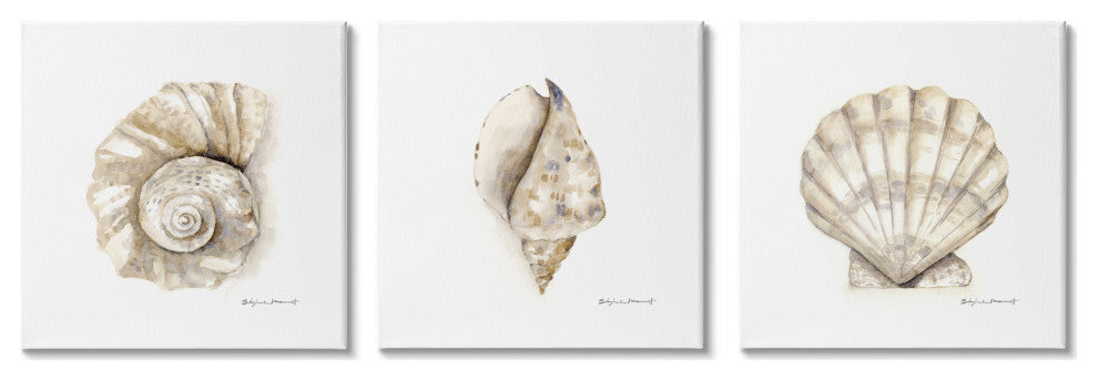 Soft White Patterned Seashells Nautical Natural Neutrals,3pc, each 17 x 17