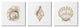 Soft White Patterned Seashells Nautical Natural Neutrals,3pc, each 17 x 17