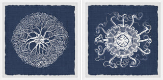 Sea Anemone on Indigo II Diptych, 64"x32"