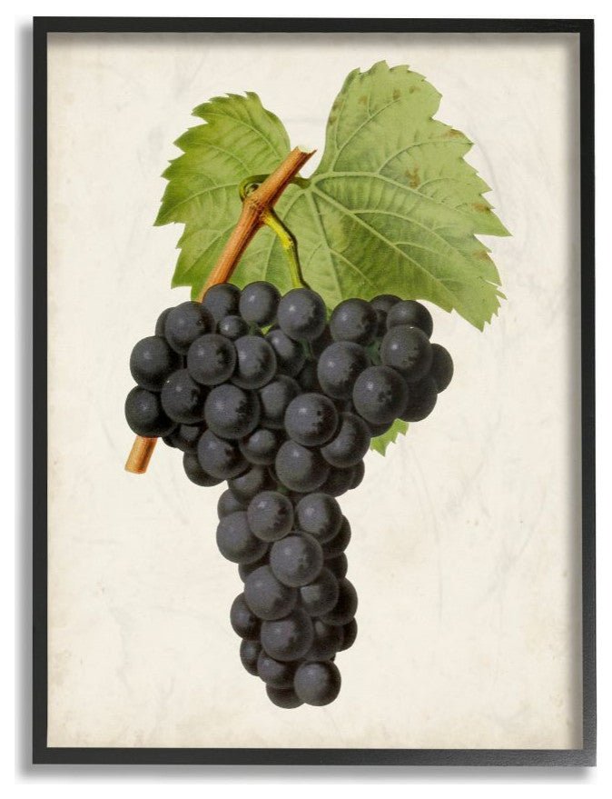 Vintage Fruit Grape Painting, 11"x14"