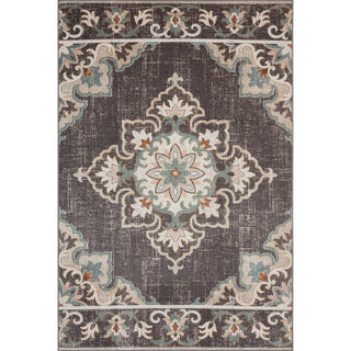 Rustic Transitional Medallion Woven Indoor Outdoor Rug, 7'9"x9'9"