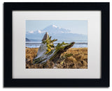 'Snowy Owl' Matted Framed Canvas Art by Pierre Leclerc