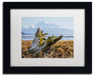 'Snowy Owl' Matted Framed Canvas Art by Pierre Leclerc