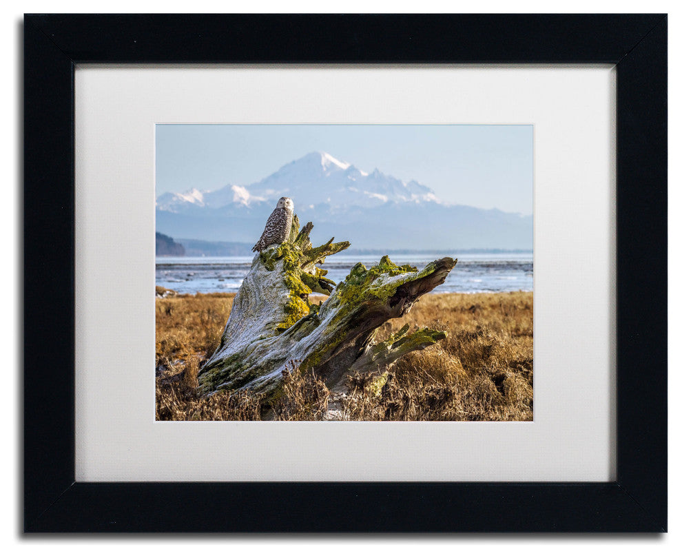 'Snowy Owl' Matted Framed Canvas Art by Pierre Leclerc