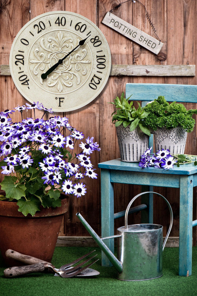 Blanc Fleur Indoor/Outdoor Decorative Wall Thermometer 15"