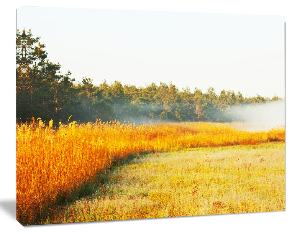 Amazing Yellow Mountain Meadow, Extra Large Landscape Canvas Art, 20"x12"