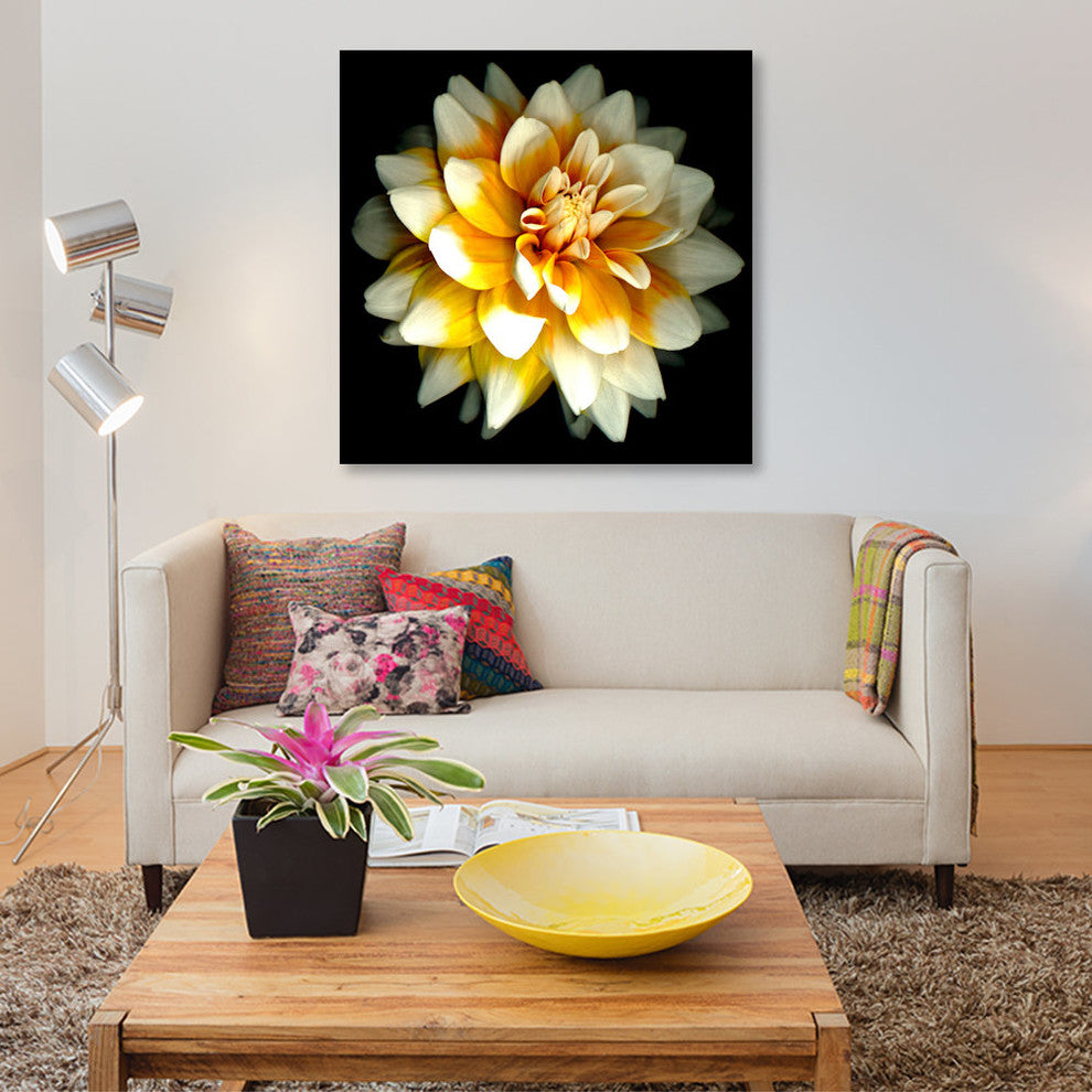 "Dahlia" by Susan Barmon, Canvas Print, 26x26"