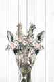 "Floral Crowned Giraffe" Painting Print on White Wood, 8x12
