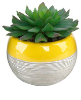 Succulent In Two Tone Lines Pattern Ceramic Pot ,Yellow
