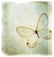 "Floating Butterfly I" Digital Paper Print by Debra Van Swearingen, 26"x26"