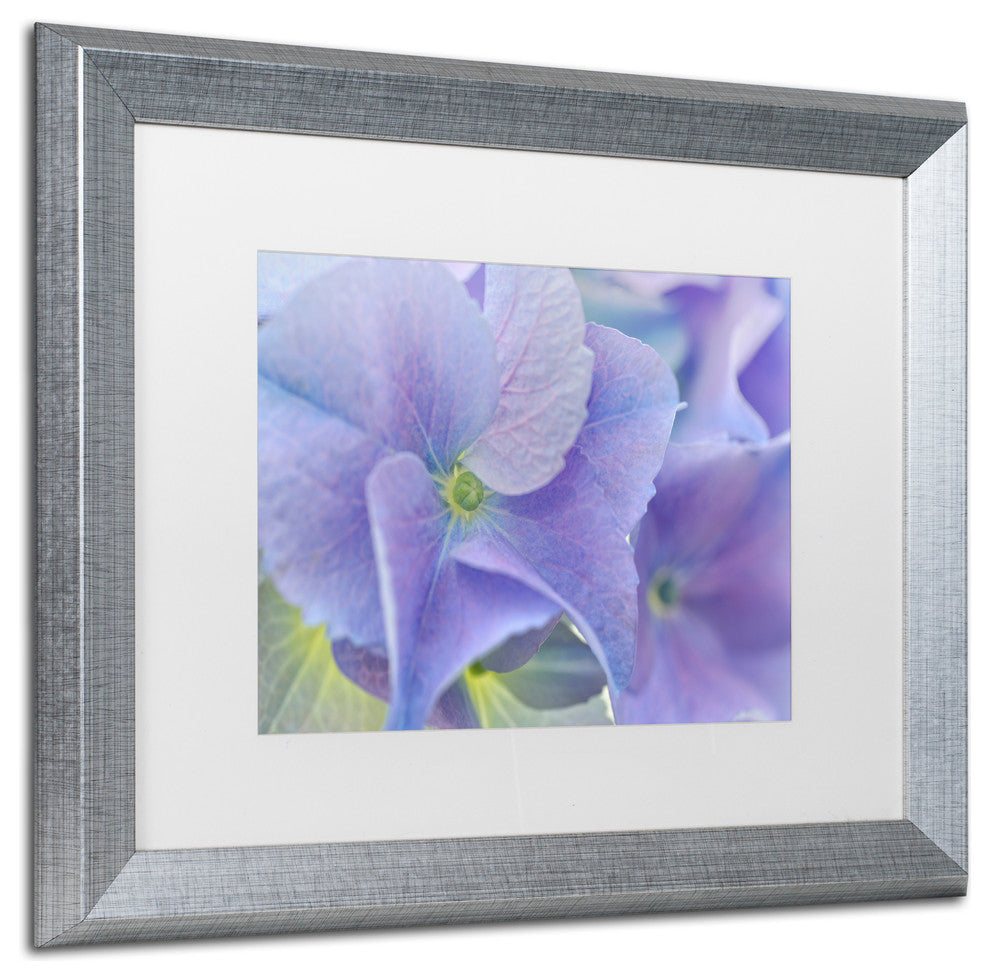 Cora Niele 'Blue Hortensia' Matted Framed Art