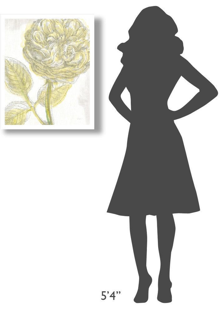 "Belle Fleur Yellow III" Digital Paper Print by Sue Schlabach, 22"x26"