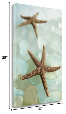 33" Two Brown Starfish and Blue Seaglass Giclee Wrap Canvas Wall Art