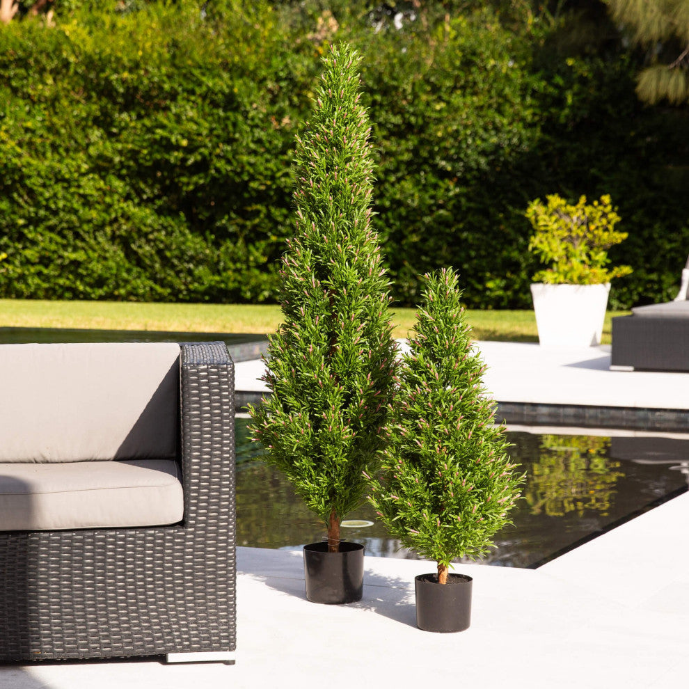 Lifestyle outdoor scene with two topiaries; product visible.