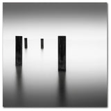 'Lucid' Canvas Art by Dave MacVicar