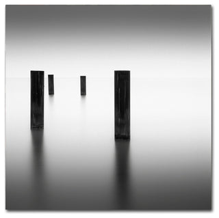 'Lucid' Canvas Art by Dave MacVicar