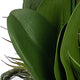 Artificial Phalaenopsis Orchids Floral Arrangement, Glass Vase