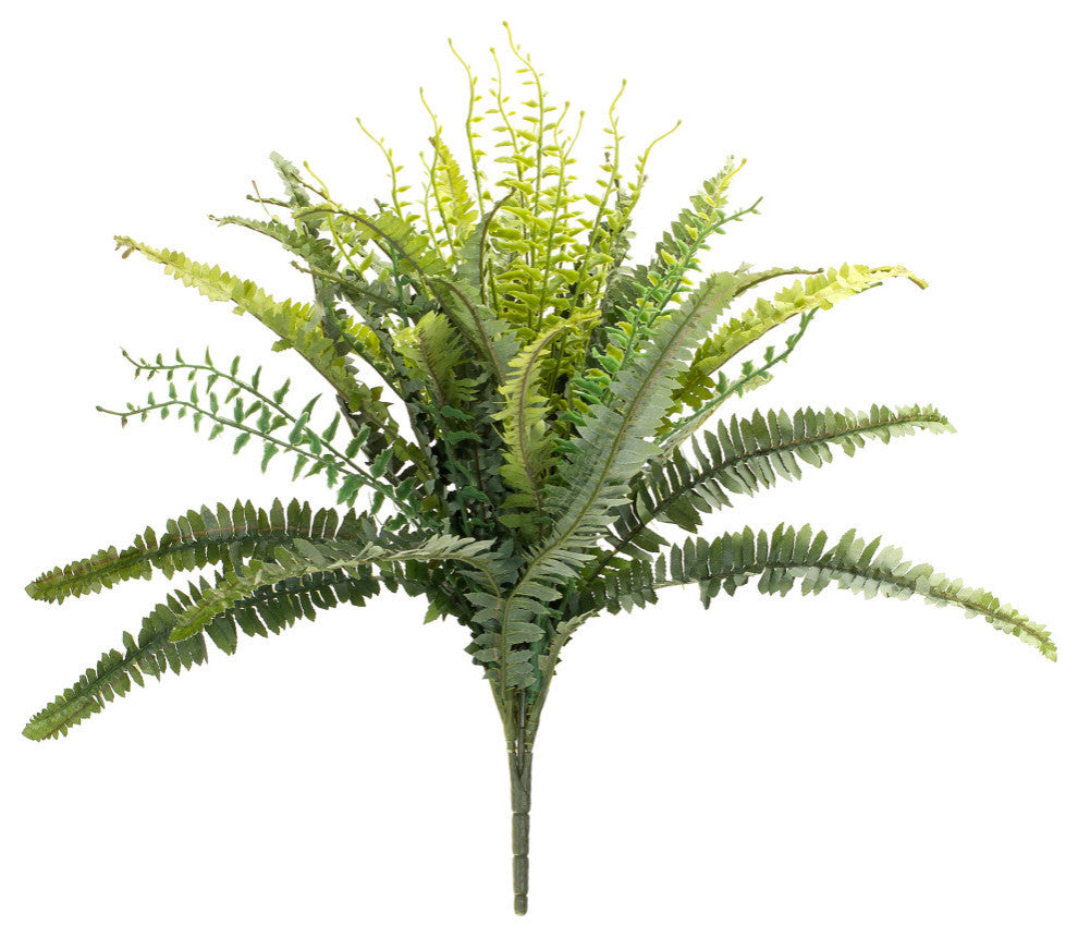 Mixed Fern Bush, 2-Piece Set