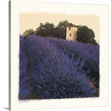 Bayliss Ranch Wrapped Canvas Art Print, 30"x30"x1.5"