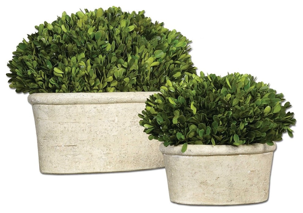 Oval Domes Preserved Boxwood, Set of 2 By Designer Constance Lael-Linyard
