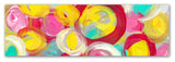 'Rose Garden Circles Panoramic' Canvas Art, 19x6