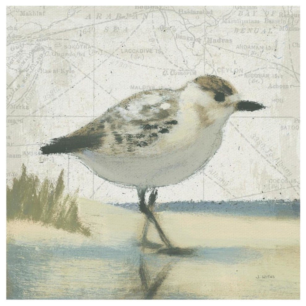 "Beach Bird I" Digital Paper Print by James Wiens, 42"x42"