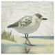 "Beach Bird I" Digital Paper Print by James Wiens, 42"x42"