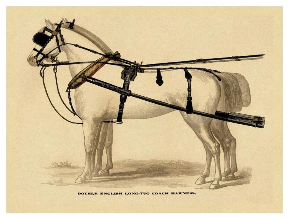 "Saddles and Tack: Double English Long-Tug Coach" Paper Art, 50"x38"