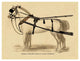 "Saddles and Tack: Double English Long-Tug Coach" Paper Art, 50"x38"