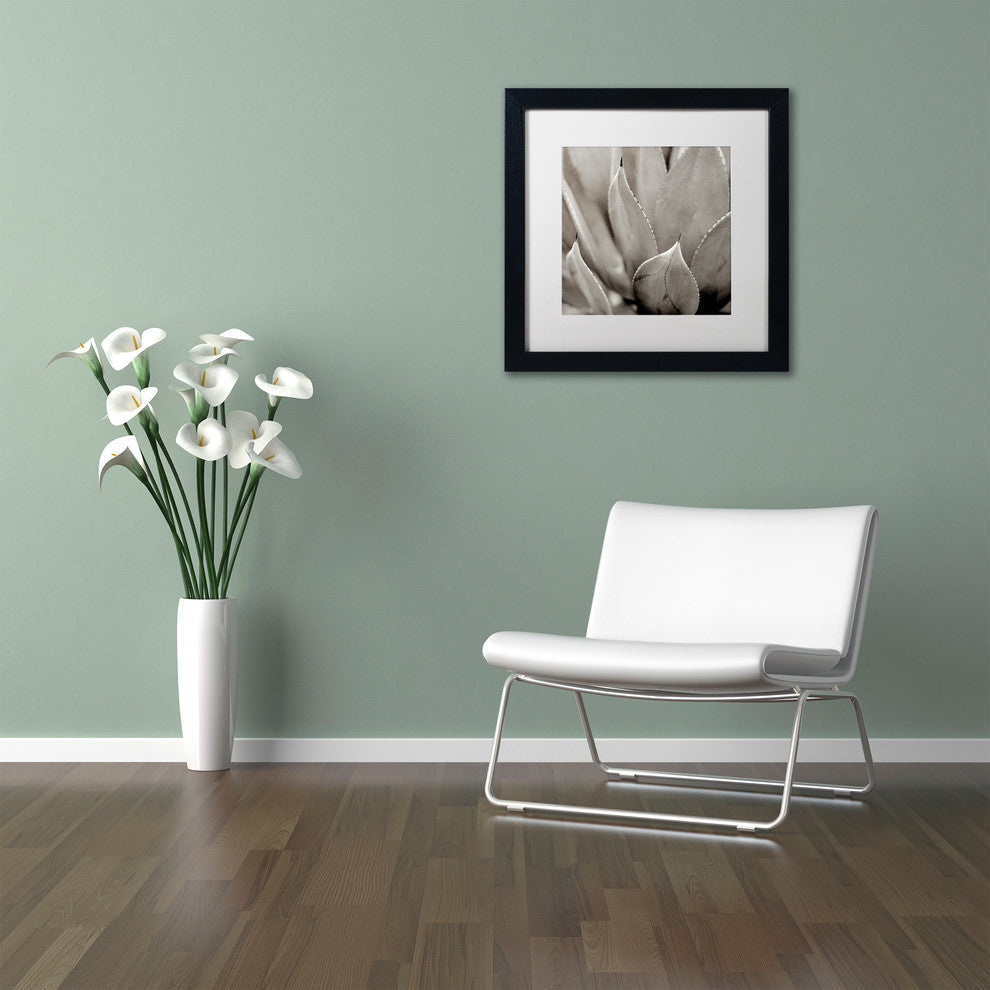 Alan Blaustein ''Florison 49'' Art, Black Frame, White Mat, 11x11