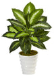 Dieffenbachia Artificial Plant, Swirl Planter