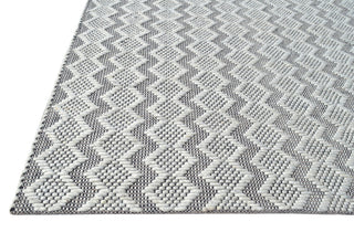 Cleveland Silver and Grey Area Rug, 3.6'x5.6'