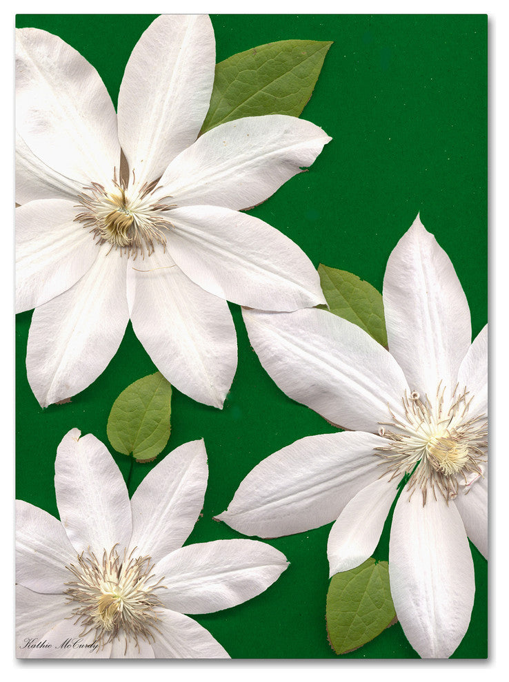 'White Clemantis' Canvas Art by Kathie McCurdy