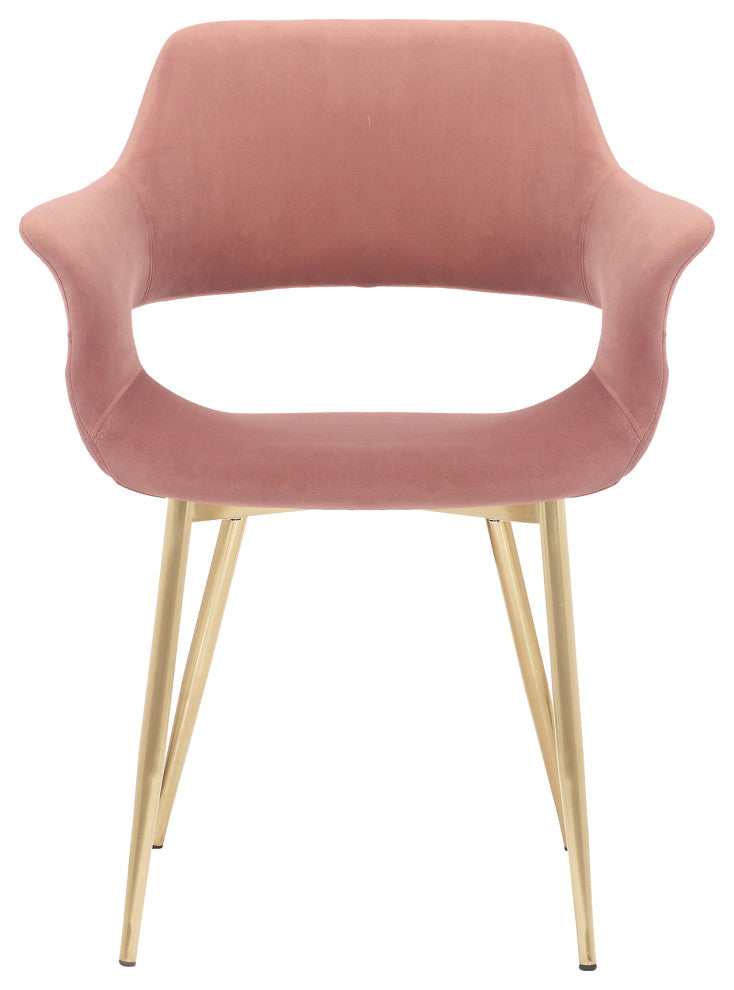 Gigi Pink Velvet Dining Room Chair with Gold Metal Legs - Set of 2