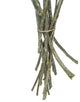 Vickerman Natural Botanicals 12" x 1-3" Eucalyptus Clusters, Green, 12" x 1-3"