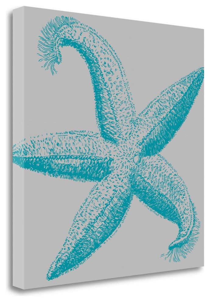 "Sea Stars I" By Sabine Berg, Giclee Print on Gallery Wrap Canvas, Ready to Hang