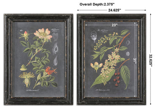 Uttermost "Midnight Botanicals" 2-Piece Wall Art Set, 24.63"x32.63"